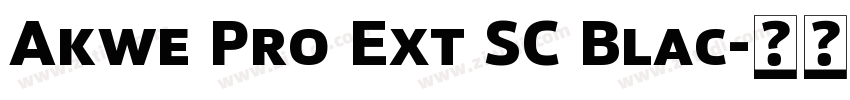 Akwe Pro Ext SC Blac字体转换